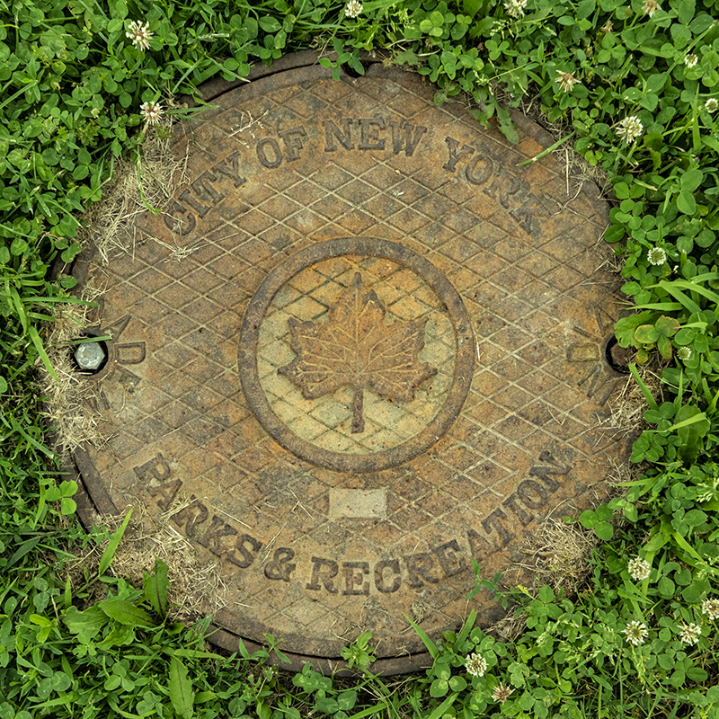 related image 3